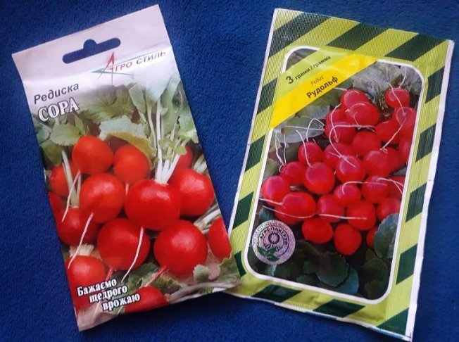 Сорта редиса для закрытого грунта