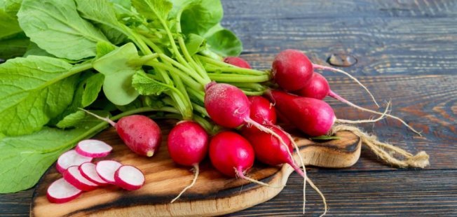 Урожай редиса 