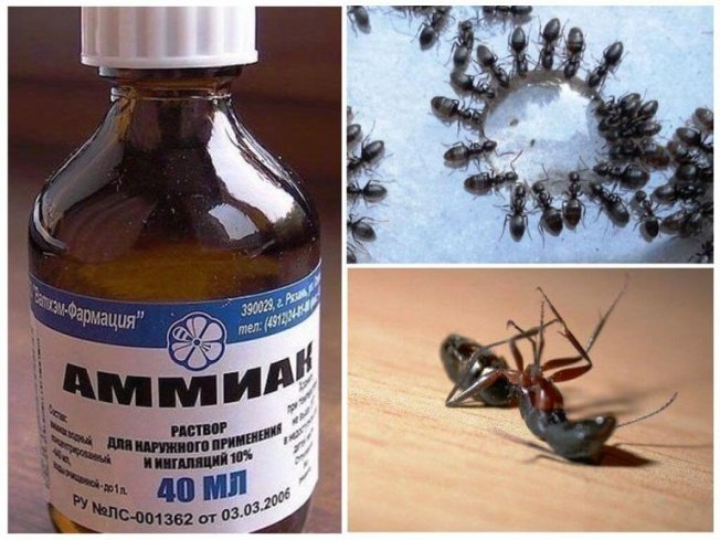 Нашатырный спирт