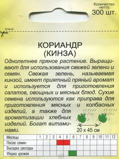 семена кинзы