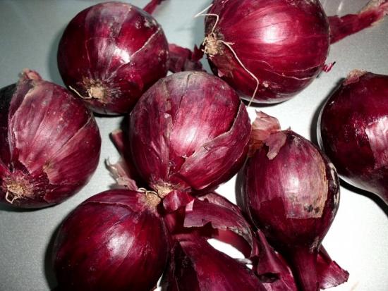 Урожай красного лука