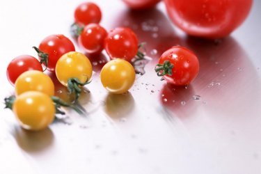  Пошаговая посадка томатов на видео поможет вырастить черри 