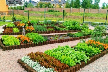 Как украсить огород