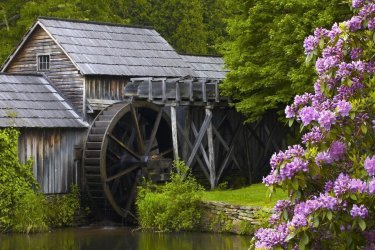 Water-mill