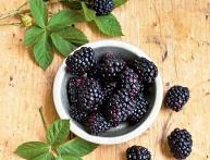 ягоды ежевики