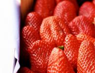 ранние сорта