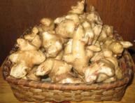 топинамбур