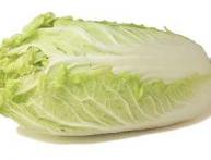 выращивание китайской капусты