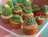 комнатные кактусы