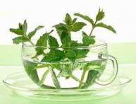 мята - как оберег в доме