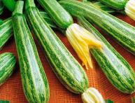 калорийность кабачков