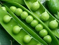 Полезные свойства зеленого горошка