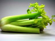 выращивание черешкового сельдерея