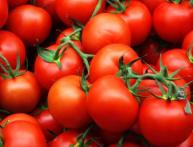 Томат