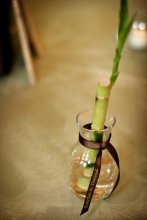вода для бамбука