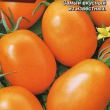 томаты Стеша отзывы