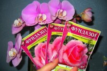 фундазол для орхидей