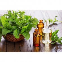 užitečné vlastnosti máty