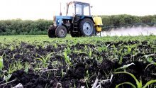 обработка кукурузы гербицидами
