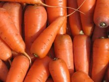 Морковь для хранения