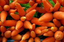 Морковка в саду