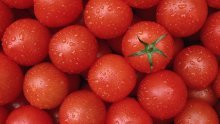 Голландские помидоры