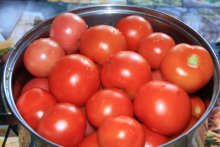 Тепличные томаты