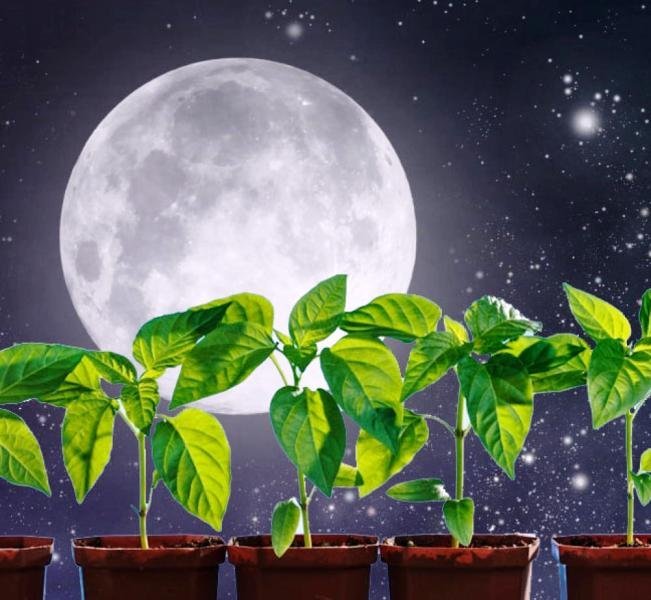 Лунный календарь на март