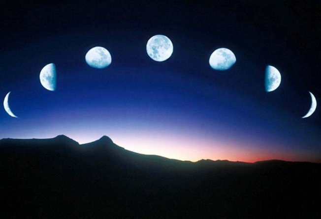 Влияние фаз Луны на растения. Лунно посадочный календарь