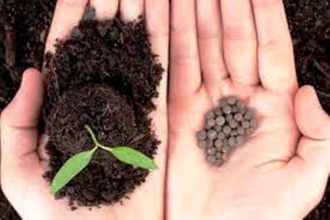 Малоплодные знаки Зодиака