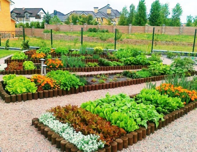 Как украсить огород