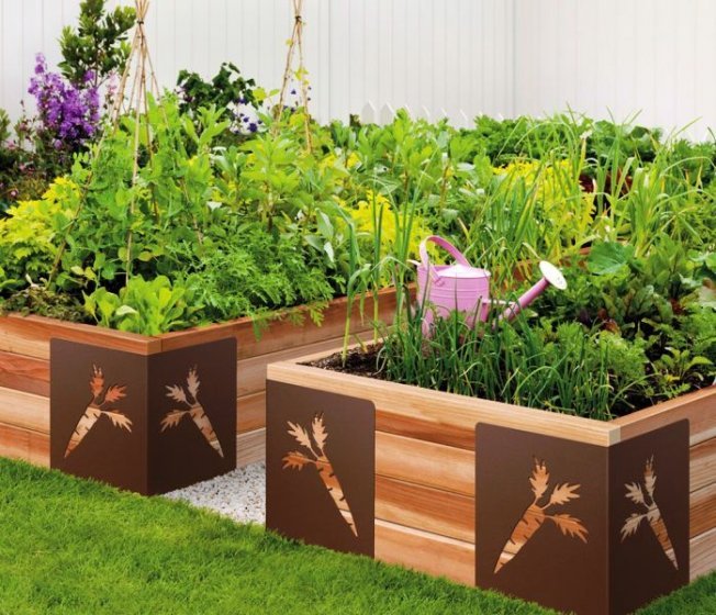 Грядки с бортиками