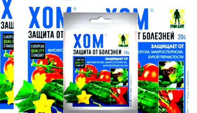 Фунгициды для борьбы с заболеваниями перца Фунгициды для борьбы с заболеваниями перца