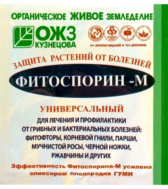 Обработка против сухой гнили Фитоспорином Обработка против сухой гнили Фитоспорином