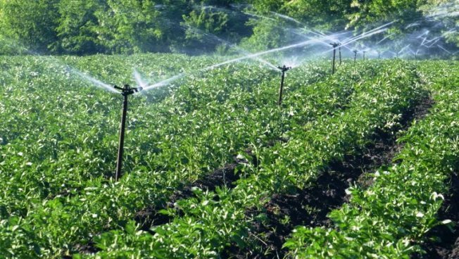 Дождевание Дождевание