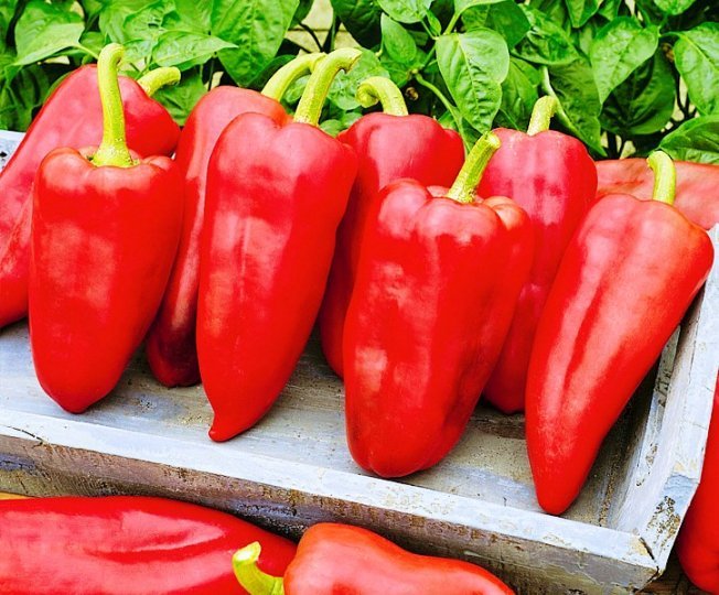 Урожайность