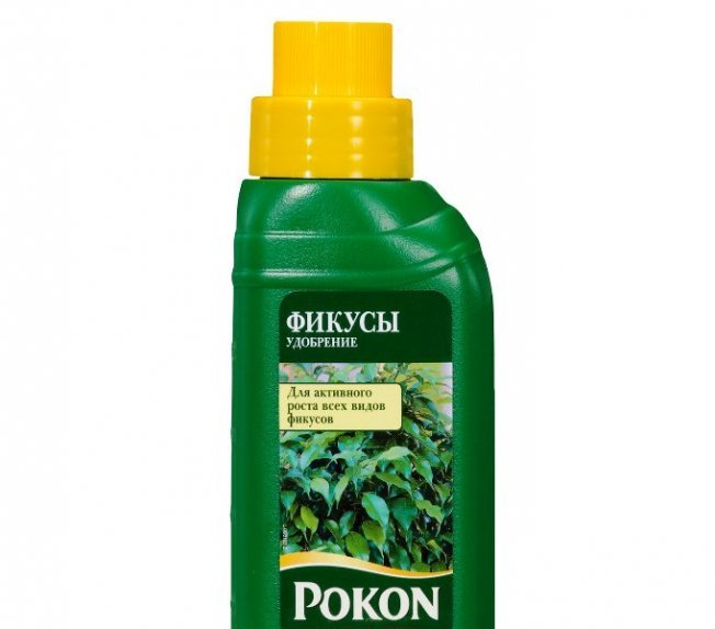 Удобрение для фикуса
