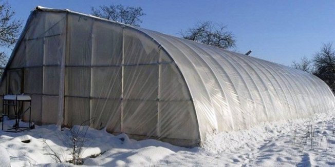 Под двойной пленкой Под двойной пленкой