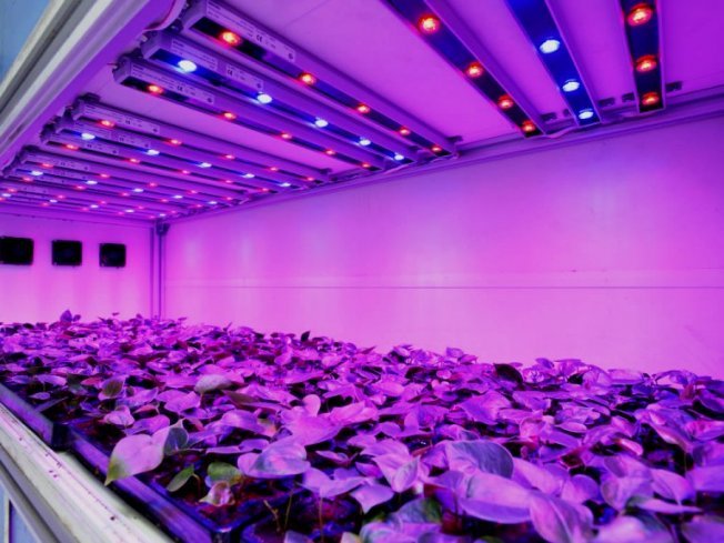 Светодиодная подсветка