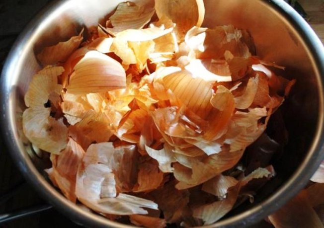Настой луковой шелухи для питания растений и профилактики заболеваний