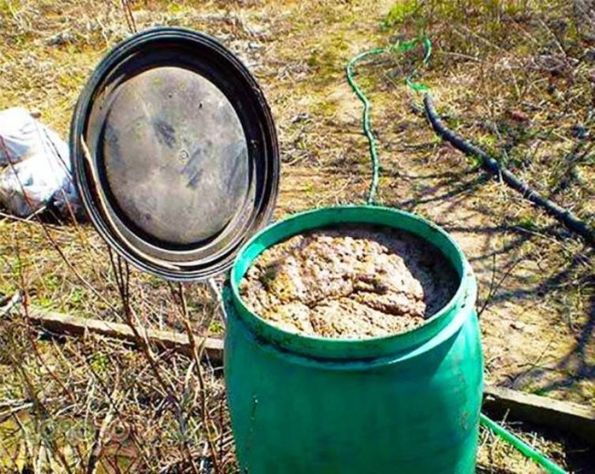 Куриный помет - ценное удобрение