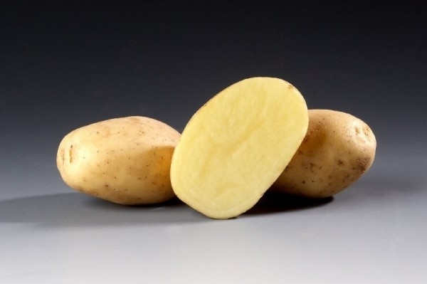 Сантана: уникальный сорт картофеля с высокими показателями