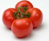 Как выбирать томаты для открытого грунта
